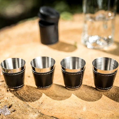 Stainless Steel Shot Glasses in Case (Set of 4)