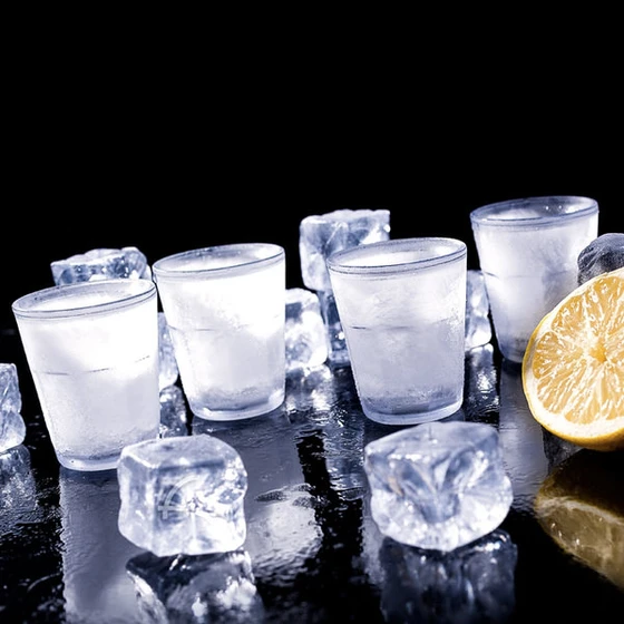 Ice Shot Glasses (Set of 4)