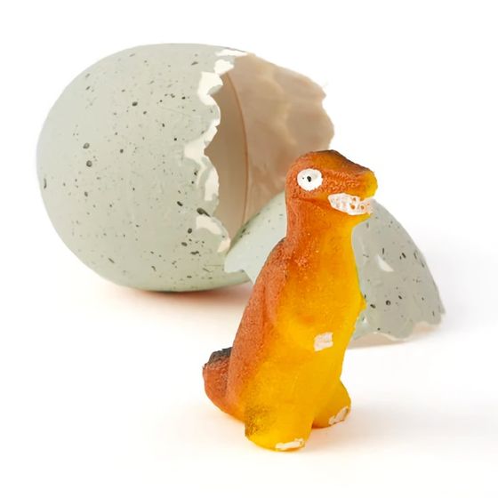 Growing Dinosaur in Egg