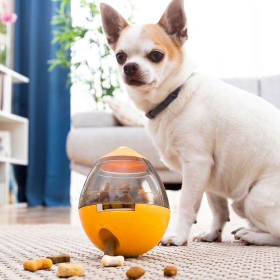 Petyt 2-In-1 Treat Dispenser Toy for Pets