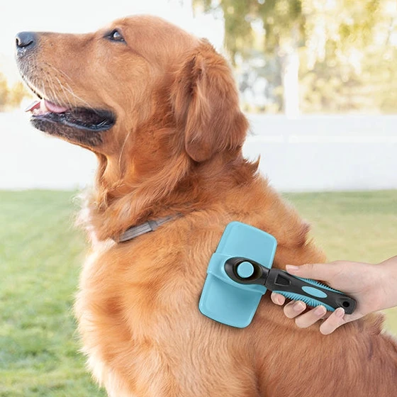 Groombot Cleaning Brush for Pets with Retractable Bristles