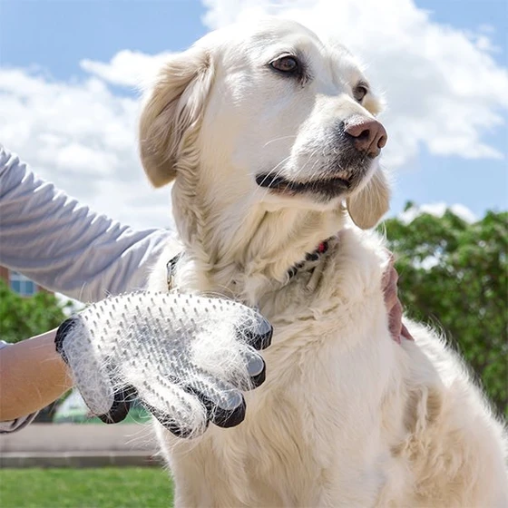 Pet Brush and Massage Glove