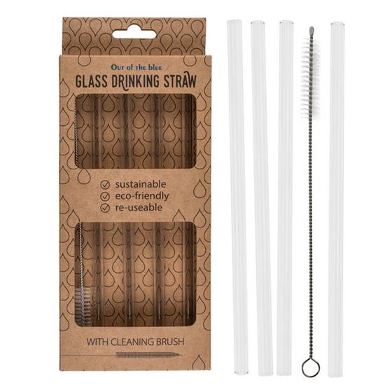 Glass Drinking Straws with a Cleaning Brush (Set of 4)