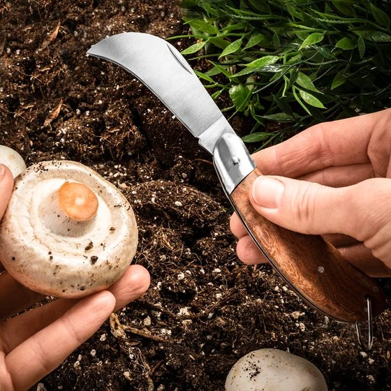 Garden & Mushroom Sickle-Shaped Knife